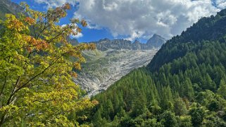 Glacier du Trient Rando 2024