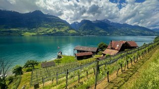 Schilt - Walensee Rando 2024