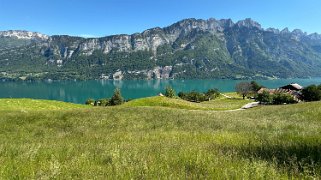 Walensee Rando 2024