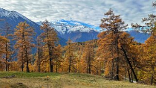 Col des Planches - La Crevasse null