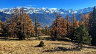 Col des Planches - La Crevasse null