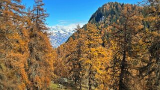 Col des Planches - La Crevasse null