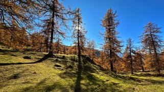 Col des Planches - La Crevasse null