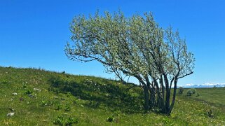 Creux du Van Rando 2025