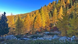 Gspon - Visperterminen Rando 2025