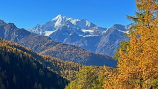 Gspon - Visperterminen Rando 2025