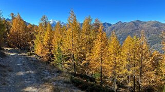 Gspon - Visperterminen Rando 2025