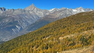 Sänntum - Bietschorn 3934 m Rando 2020 Rando 2025