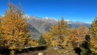 Gspon - Visperterminen Rando 2025