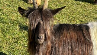 Visperterminen Rando 2025