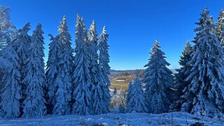 Haut du Mollendruz null