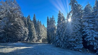 Haut du Mollendruz null