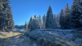 Haut du Mollendruz null