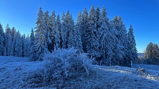 Haut du Mollendruz null
