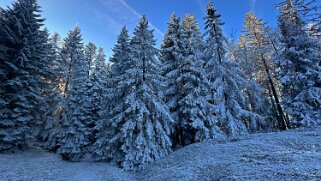 Haut du Mollendruz null