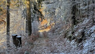 Haut du Mollendruz null