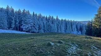 Haut du Mollendruz null