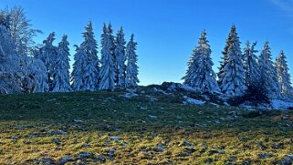 Haut du Mollendruz null