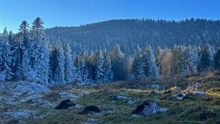 Haut du Mollendruz null
