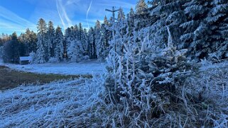 Haut du Mollendruz null