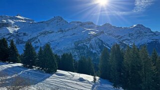 Col du Pillon - Isenau null