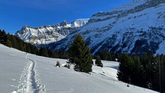Col du Pillon - Isenau null