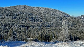 Col du Mollendruz - Croix de Châtel null