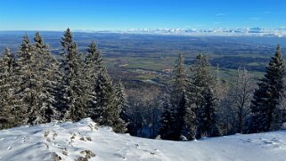 Col du Mollendruz - Croix de Châtel null