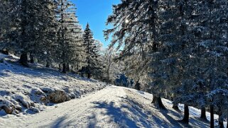 Col du Mollendruz - Croix de Châtel null
