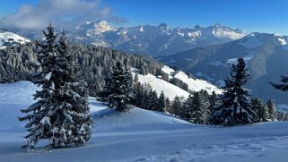 Savolaire - Val de Morgins null