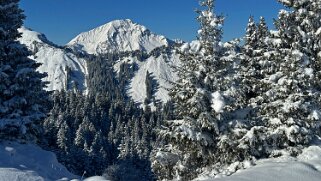 Savolaire - Val de Morgins null