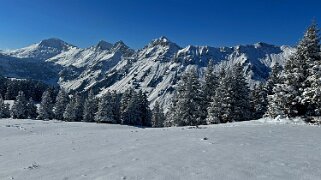 Savolaire - Val de Morgins null