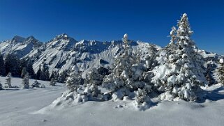 Savolaire - Val de Morgins null