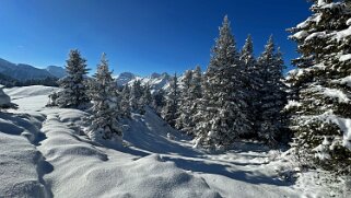 Savolaire - Val de Morgins null