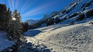 Vièze de Morgins - Val de Morgins null