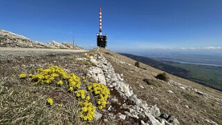 Chasseral 1607 m Rando 2025