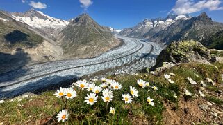Glacier d'Aletsch null