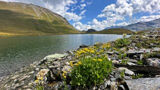 Lac des Autannes 2685 m null
