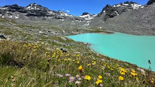 Lac du Grand Désert 2642 m null