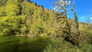 Le Doubs null