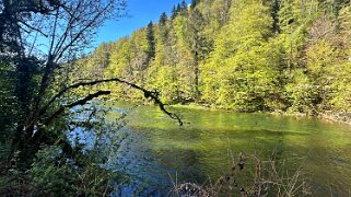 Le Doubs null