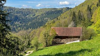 Les Roies null