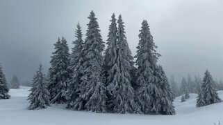 Col du Marchairuz - Cunay null