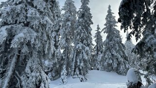 Col du Marchairuz - Cunay null