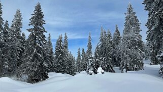 Col du Marchairuz - Cunay null