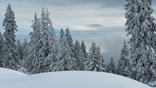 Col du Marchairuz - Cunay null