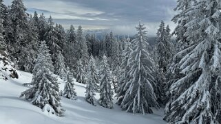 Col du Marchairuz - Cunay null
