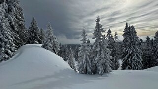 Col du Marchairuz - Cunay null