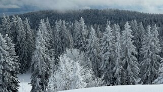 Col du Marchairuz - Cunay null