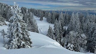 Col du Marchairuz - Cunay null